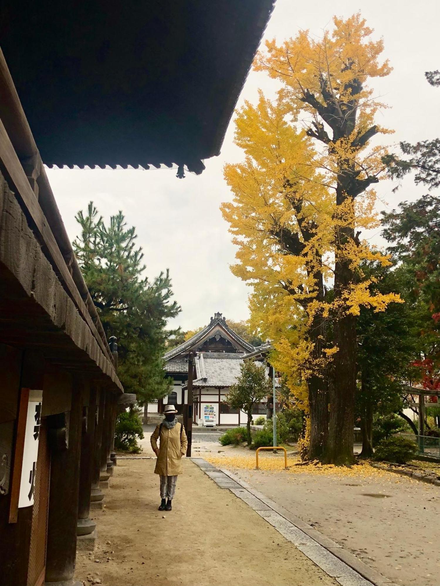 Inari-Home Kioto Exterior foto